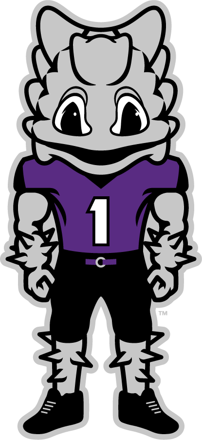 TCU Horned Frogs 2016-Pres Mascot Logo diy DTF decal sticker